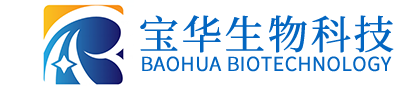 拼搏电子·(中国)网站
